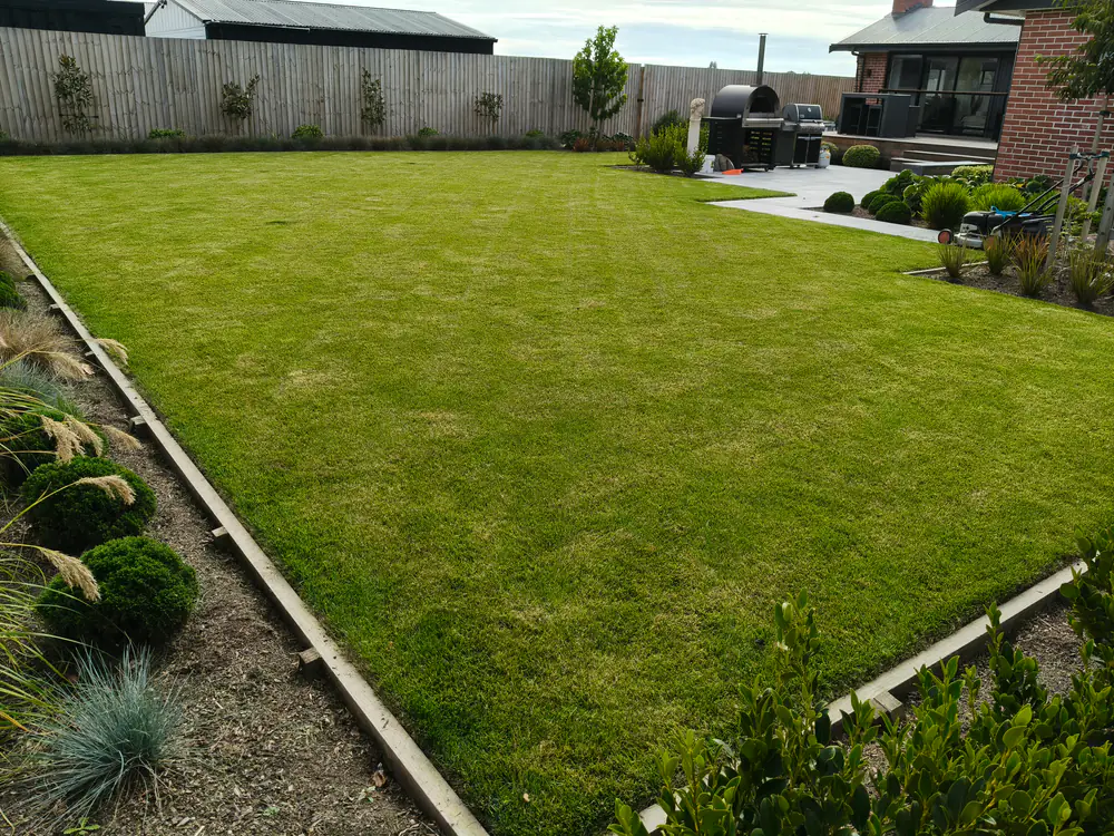 A freshly mowed lawn with stripes and crisp edges in a Christchurch backyard