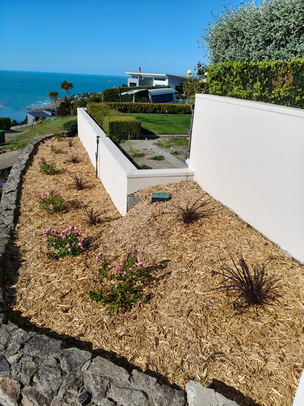 A freshly mulched garden bed with new plants against a stone wall, Christchurch